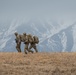 Arctic Paratroopers conduct Joint Forcible Entry Operation During NE21
