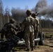 1-319 FA conducts LFX in Estonia
