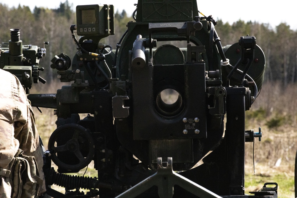 1-319 FA conducts LFX in Estonia