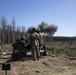 1-319 FA conducts LFX in Estonia