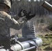 1-319 FA conducts LFX in Estonia