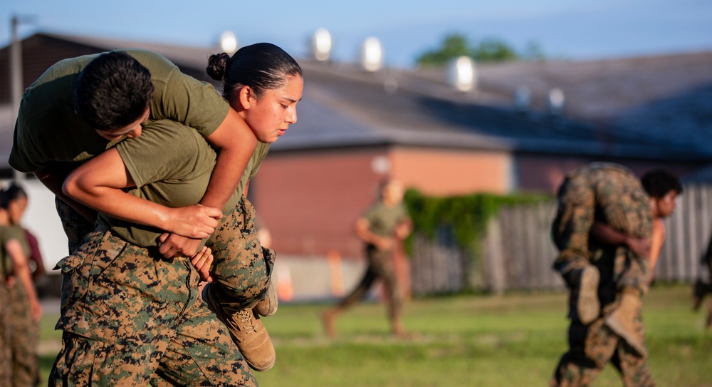 Papa Company Physical Training