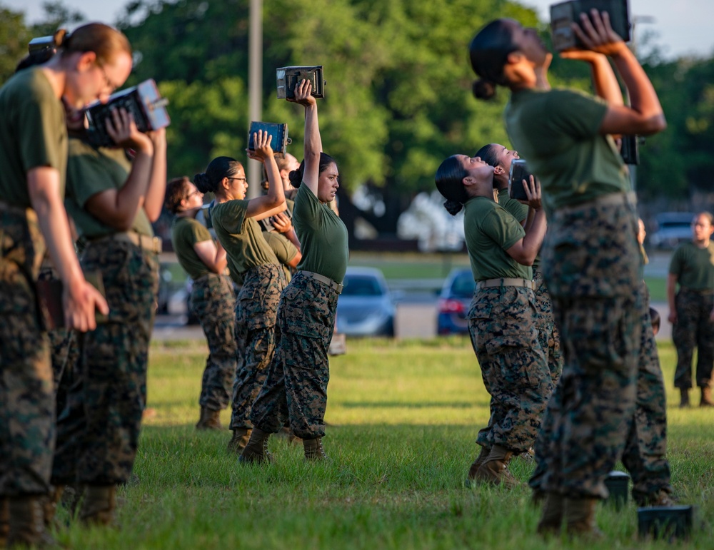 Papa Company Physical Training