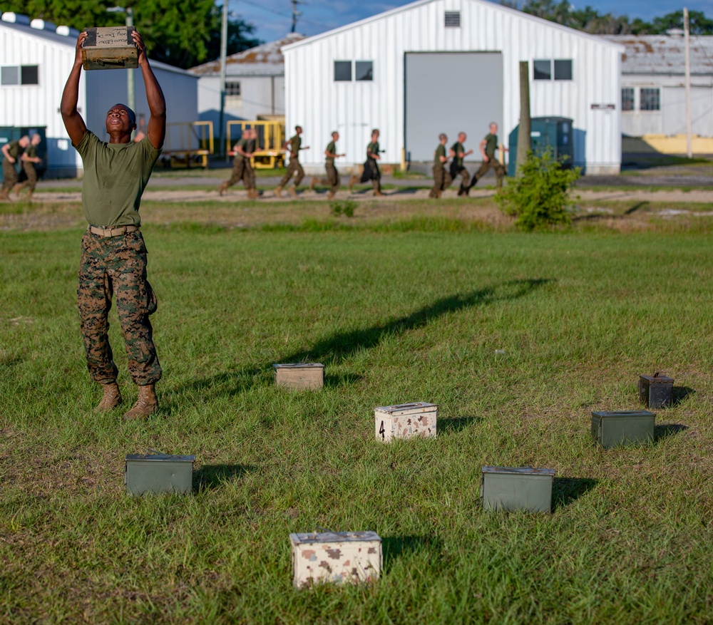 Papa Company Physical Training