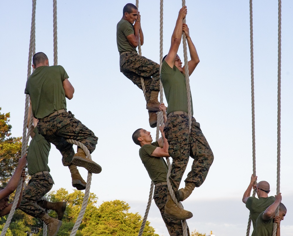 Papa Company Physical Training