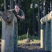 Papa Company Physical Training