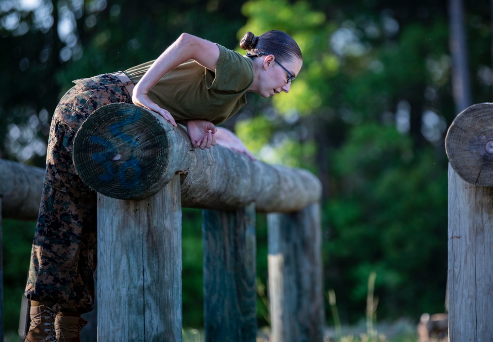 Papa Company Physical Training