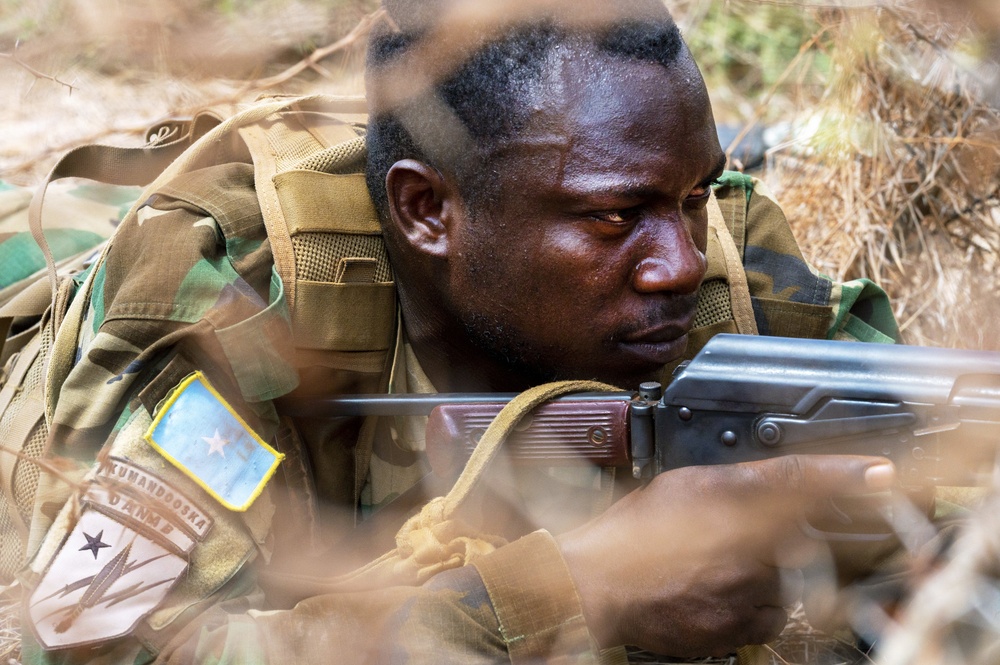 U.S. forces conduct ground warfare with Danab Brigade