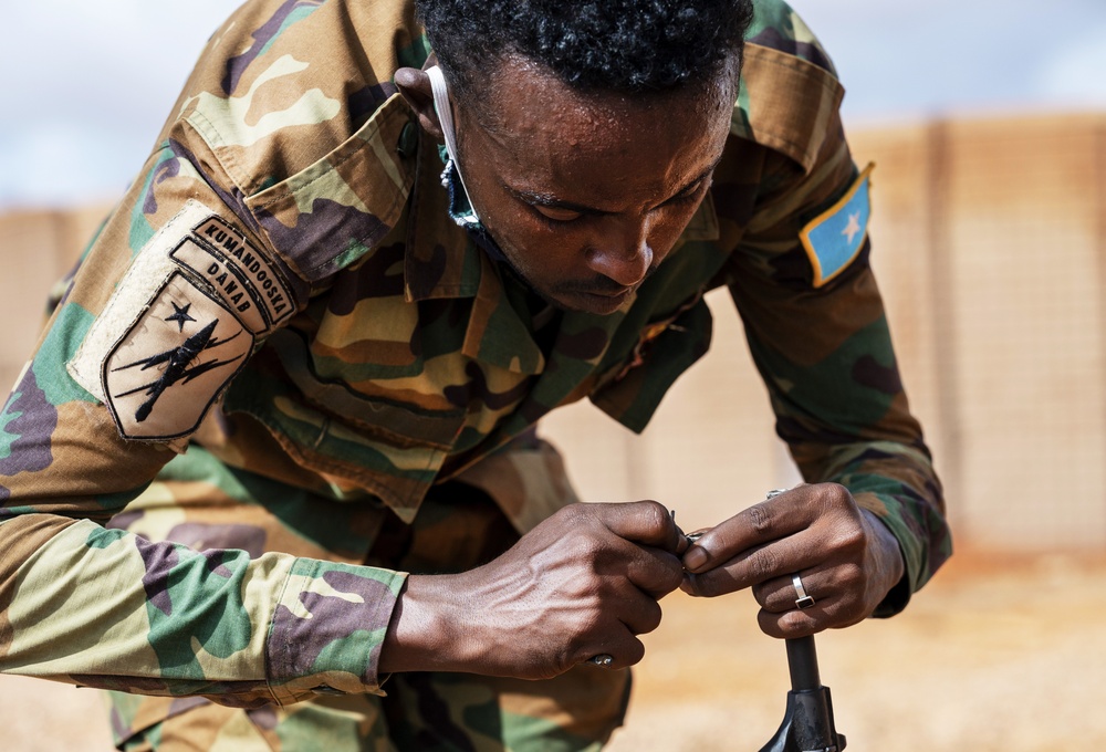 U.S. forces host range day with Danab Brigade