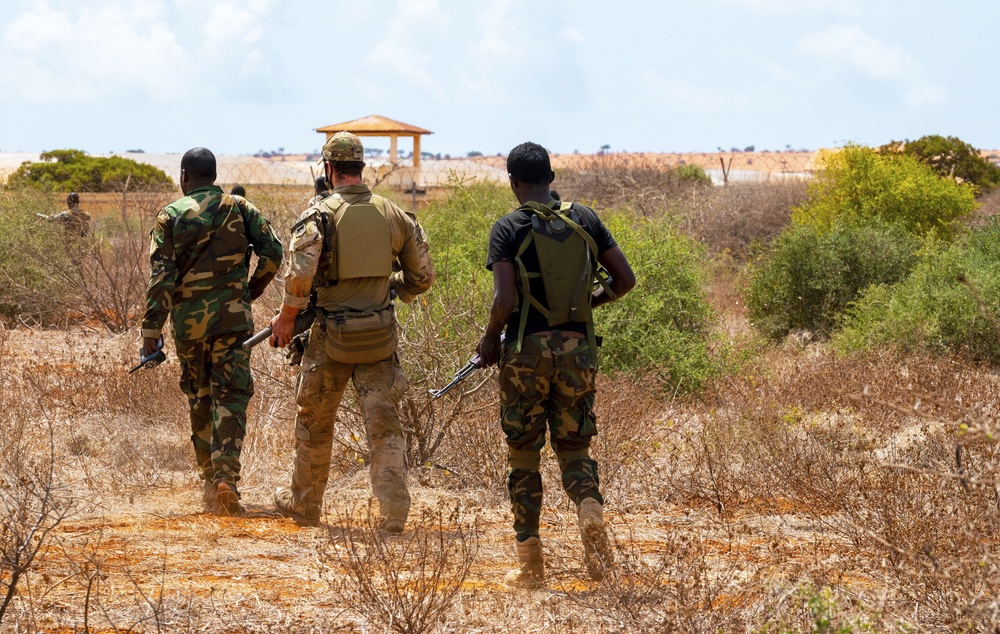 U.S. forces conduct ground warfare with Danab Brigade