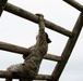 Day 2 - JBSA Best Warrior Competition 2021