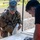 25th ID Soldier and NCO of the Year Competition