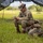 25th ID Soldier and NCO of the Year Competition