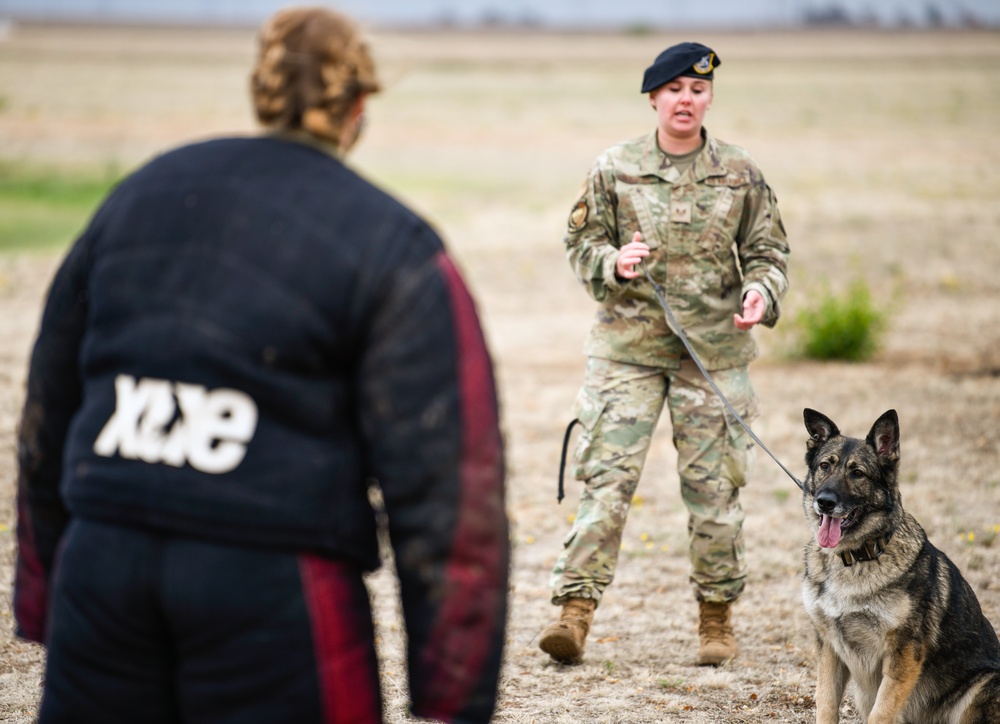 Police Week MWD Demo