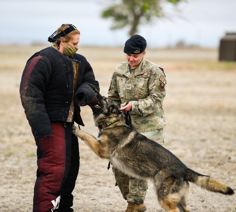 Police Week MWD Demo