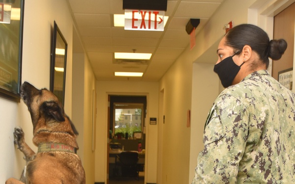 Dog Handler Certification