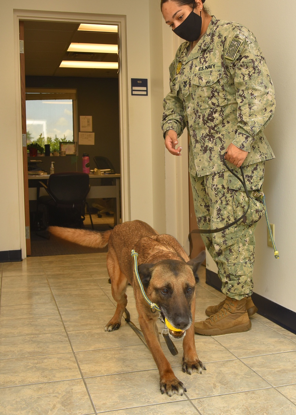 Dog Handler Certification