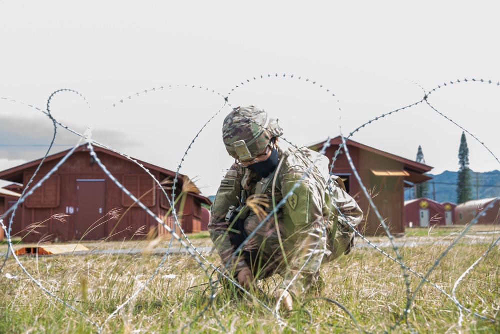73rd Sig Co DTSB FTX: Laying Cable