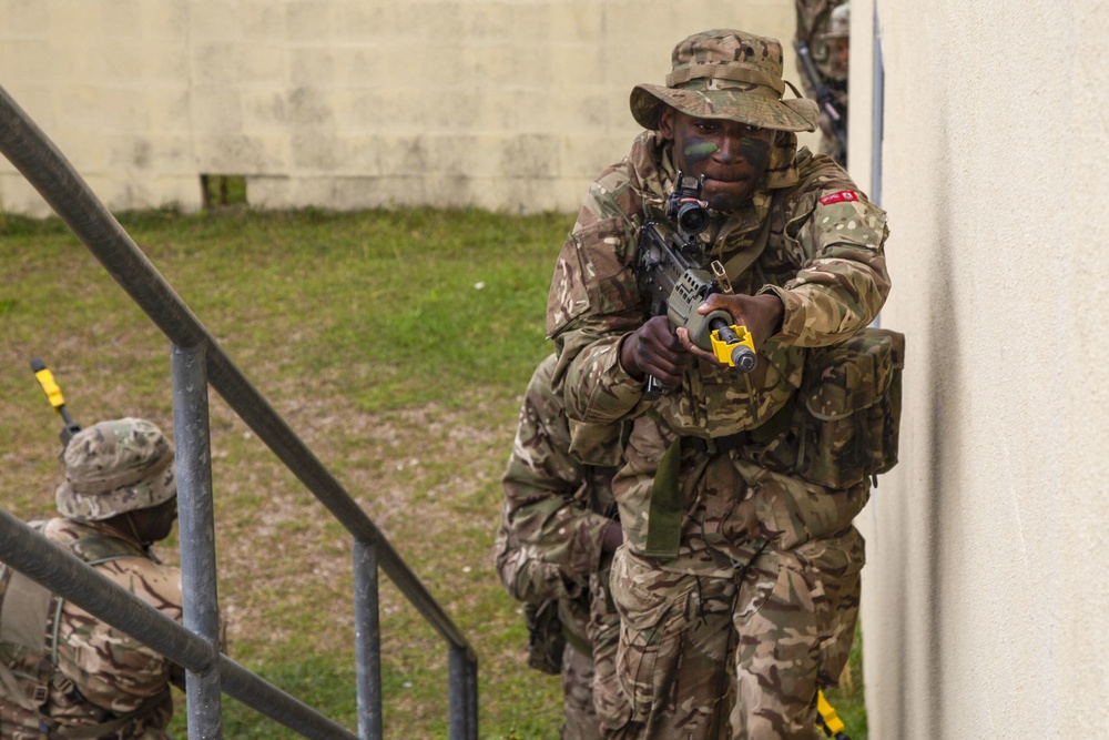 Royal Bermuda Regiment conducts MOUNT training during Exercise Island Warrior