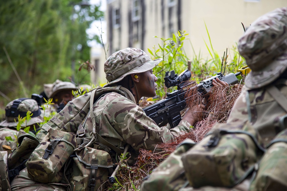 Royal Bermuda Regiment conducts MOUNT training during Exercise Island Warrior