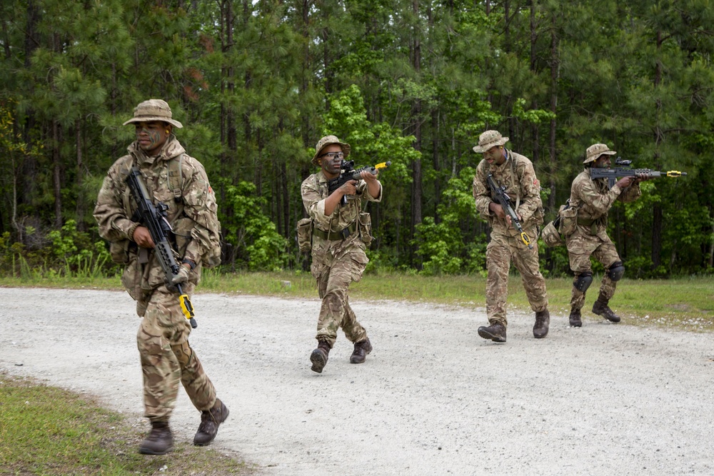 Royal Bermuda Regiment conducts MOUNT training during Exercise Island Warrior