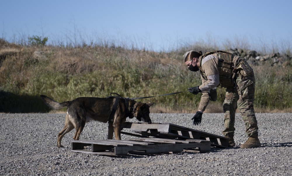 60th SFS partners with CDCR for K-9 joint-training