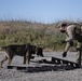60th SFS partners with CDCR for K-9 joint-training
