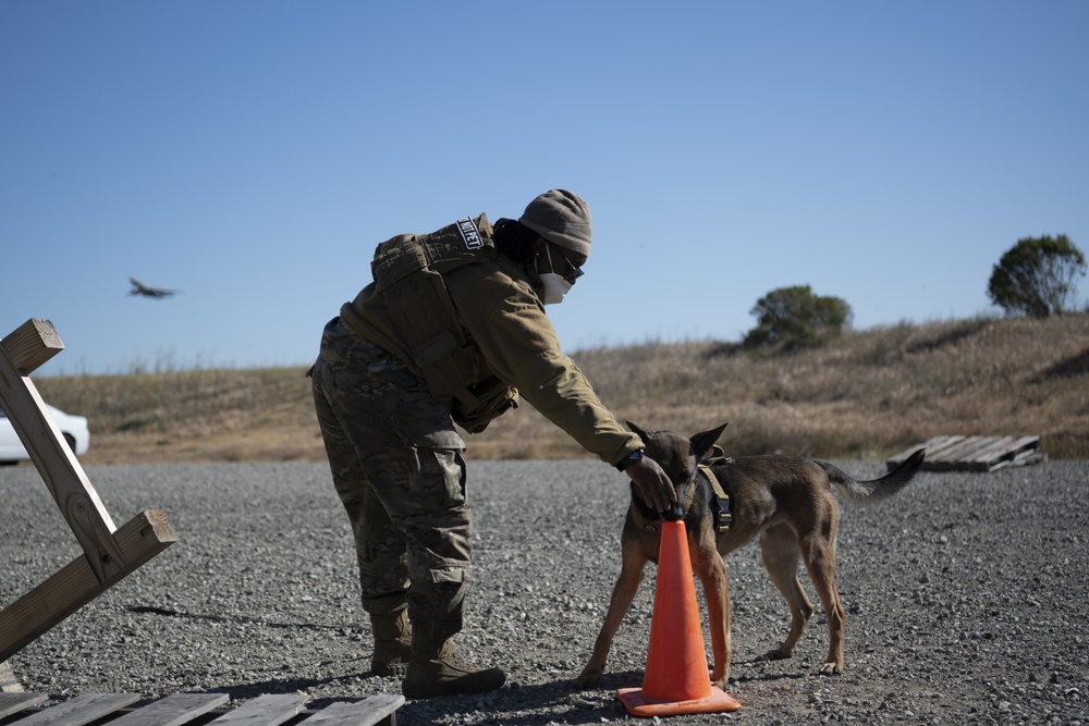 60th SFS partners with CDCR for K-9 joint-training