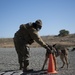 60th SFS partners with CDCR for K-9 joint-training