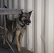 60th SFS partners with CDCR for K-9 joint-training