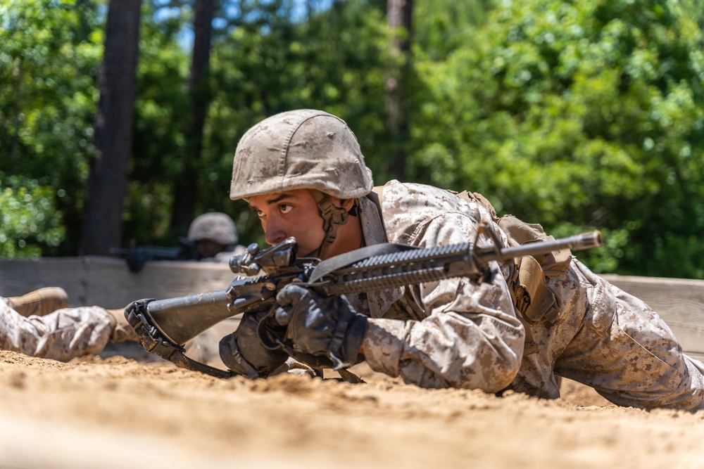Alpha Company Basic Warrior Training