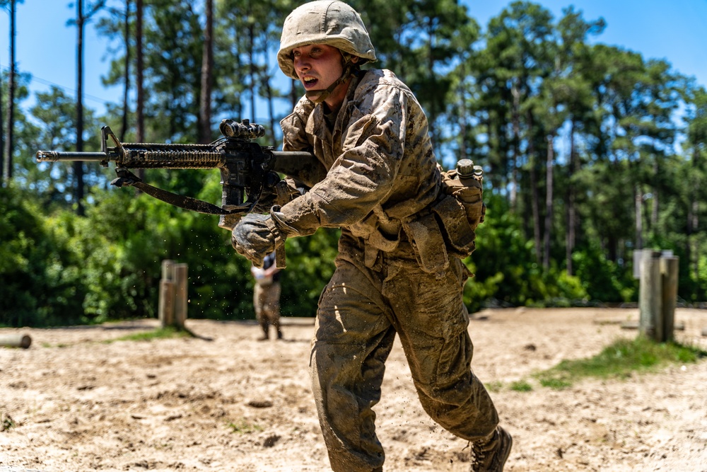 Alpha Company Basic Warrior Training