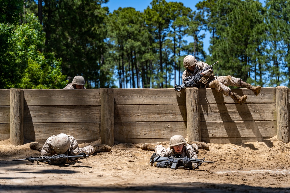 Alpha Company Basic Warrior Training
