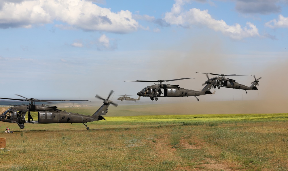 Multinational Air Assault in Romania