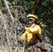 Cal Guard's Rattlesnake - Fresno Unit qualifies for fire season