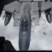 Eagles and Raptors Refuel Over Alaska