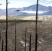 Air Force Reservists and Air National Guardsmen complete annual aerial wildland firefighting training