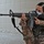 A female military or law enforcement personnel is in a kneeling position aiming an M16-style rifle in what appears to be an indoor training environment. She is wearing camouflage uniform, body armor, and a face mask pulled down below her nose. The setting appears to be a drill or training exercise inside a building with cinder block walls.