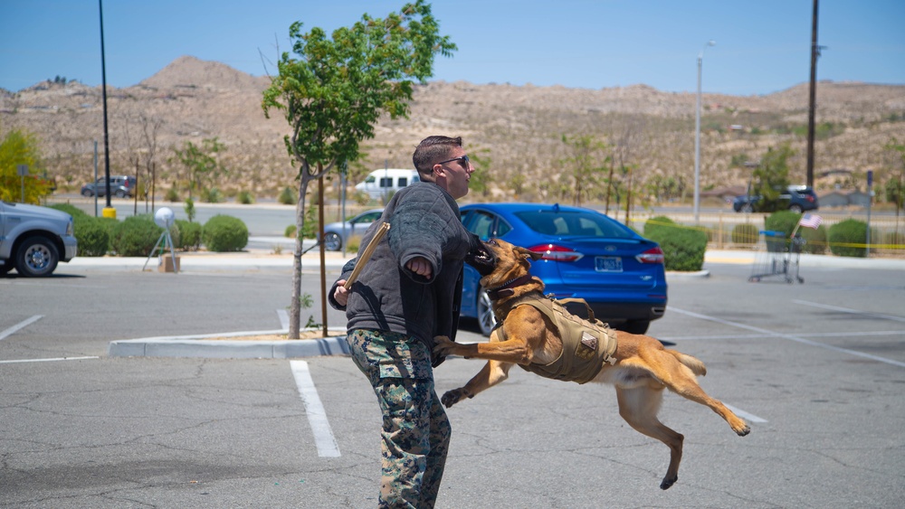 MCAGCC K-9 Event