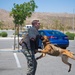 MCAGCC K-9 Event