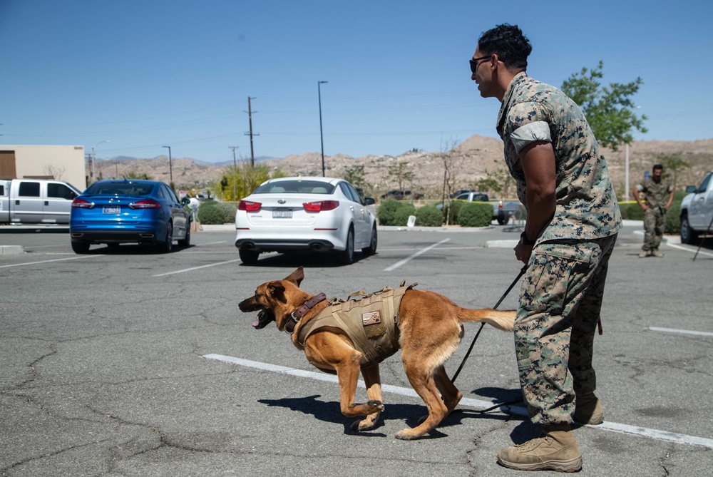 MCAGCC K-9 Event