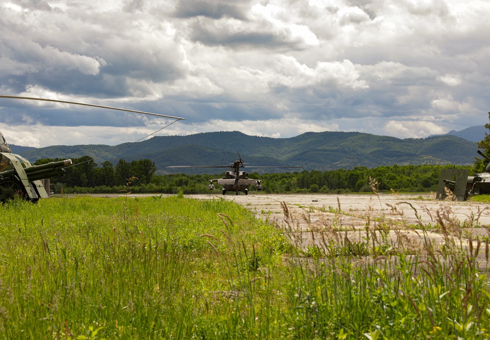 DEFENDER-Europe 21 Immediate Response