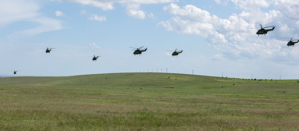 Pumas fly in formation