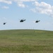 Pumas fly in formation