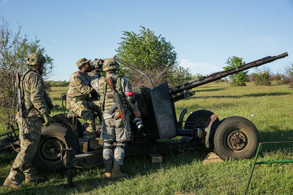 Soldiers provide anti-aircraft training