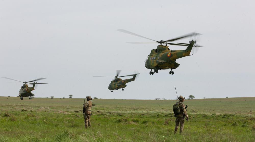 Soldiers watch Puma Helicopters fly away