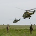 Soldiers watch Puma Helicopters fly away