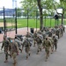 NYARNG &quot;Fighting 69th&quot; Infantry Regiment Conduct 6 Mile Ruck March in NYC