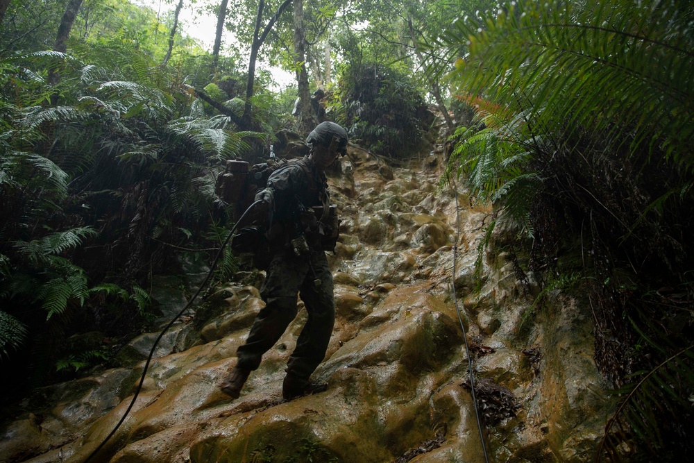 Basic Jungle Survival Course