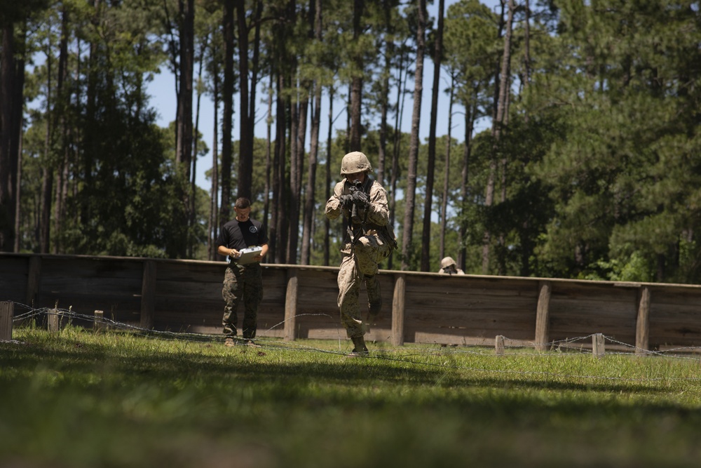 Alpha Company Basic Warrior Training